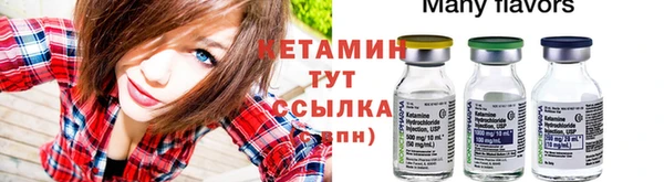 гидра Слюдянка