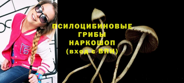 гидра Слюдянка