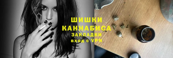 гидра Слюдянка