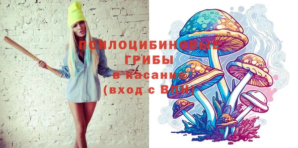 не бодяженный Снежногорск
