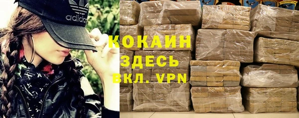 гидра Слюдянка