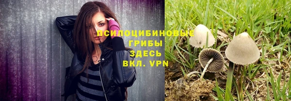 не бодяженный Снежногорск