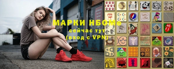 гидра Слюдянка