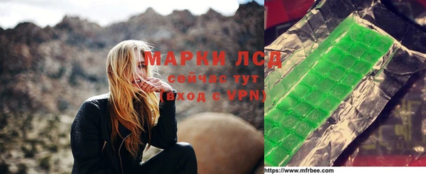 гидра Слюдянка